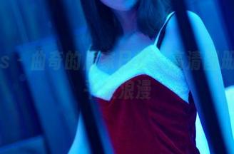 pans - 曲奇的居家日常:高清图册中的平淡浪漫