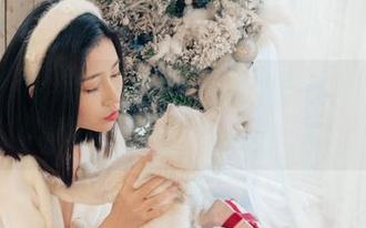 有人说年年Nnian这次的《落日蔷薇》让网盘都要里外翻了一圈,真的?